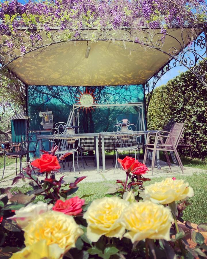 Le Coccole Del Trasimeno Guest House Туоро сул Тразимено Екстериор снимка