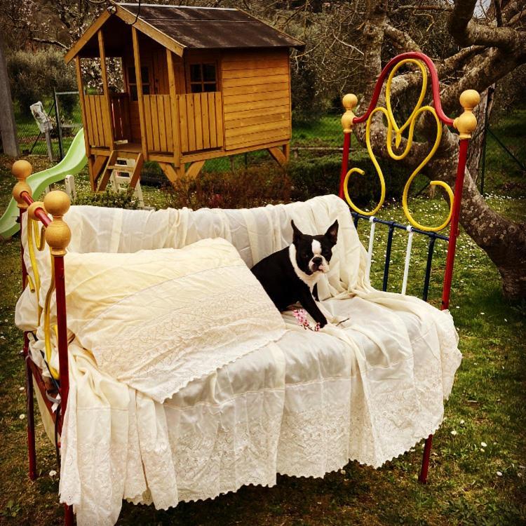 Le Coccole Del Trasimeno Guest House Туоро сул Тразимено Екстериор снимка