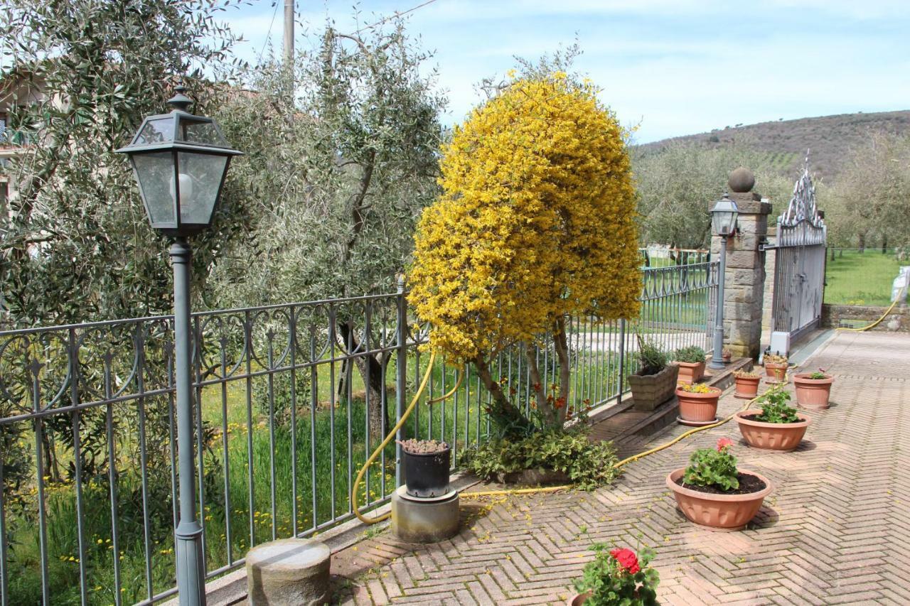 Le Coccole Del Trasimeno Guest House Туоро сул Тразимено Екстериор снимка