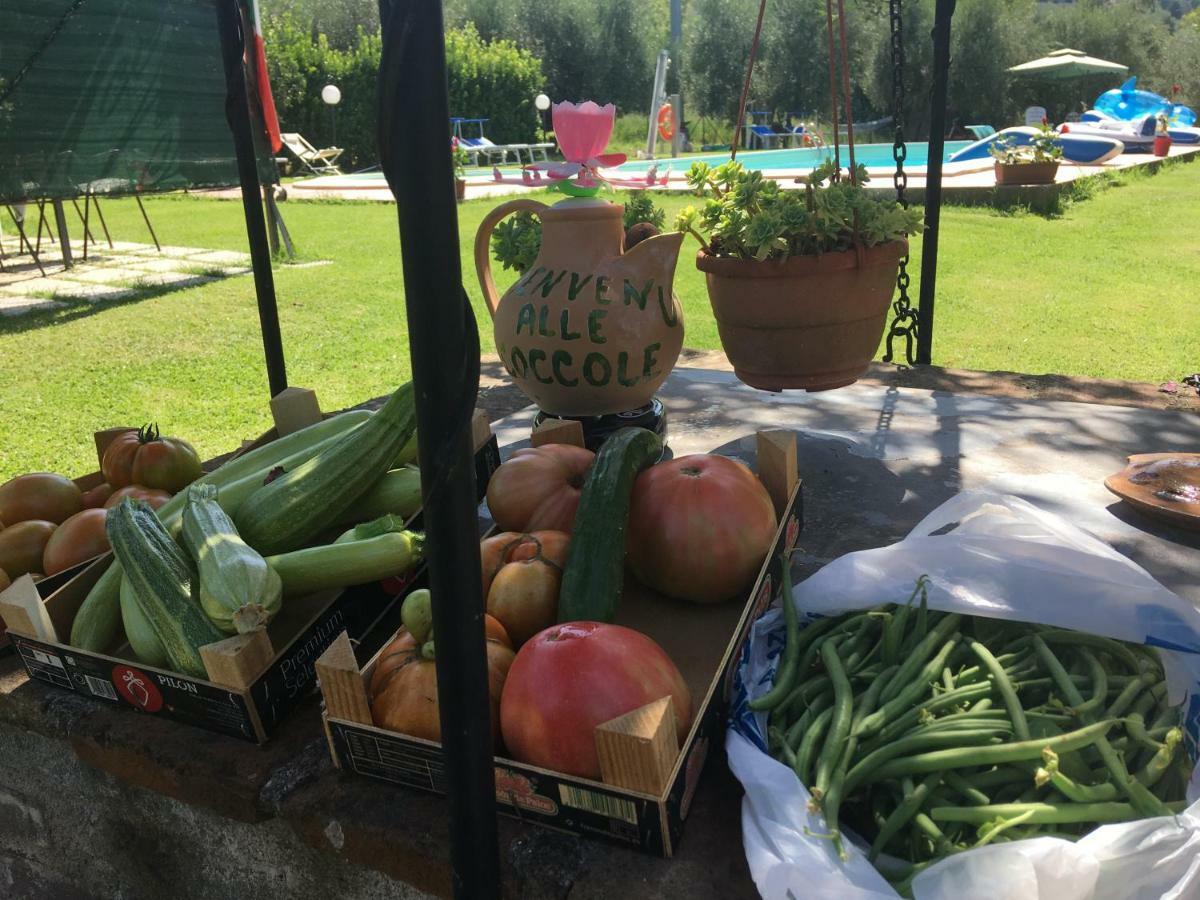Le Coccole Del Trasimeno Guest House Туоро сул Тразимено Екстериор снимка