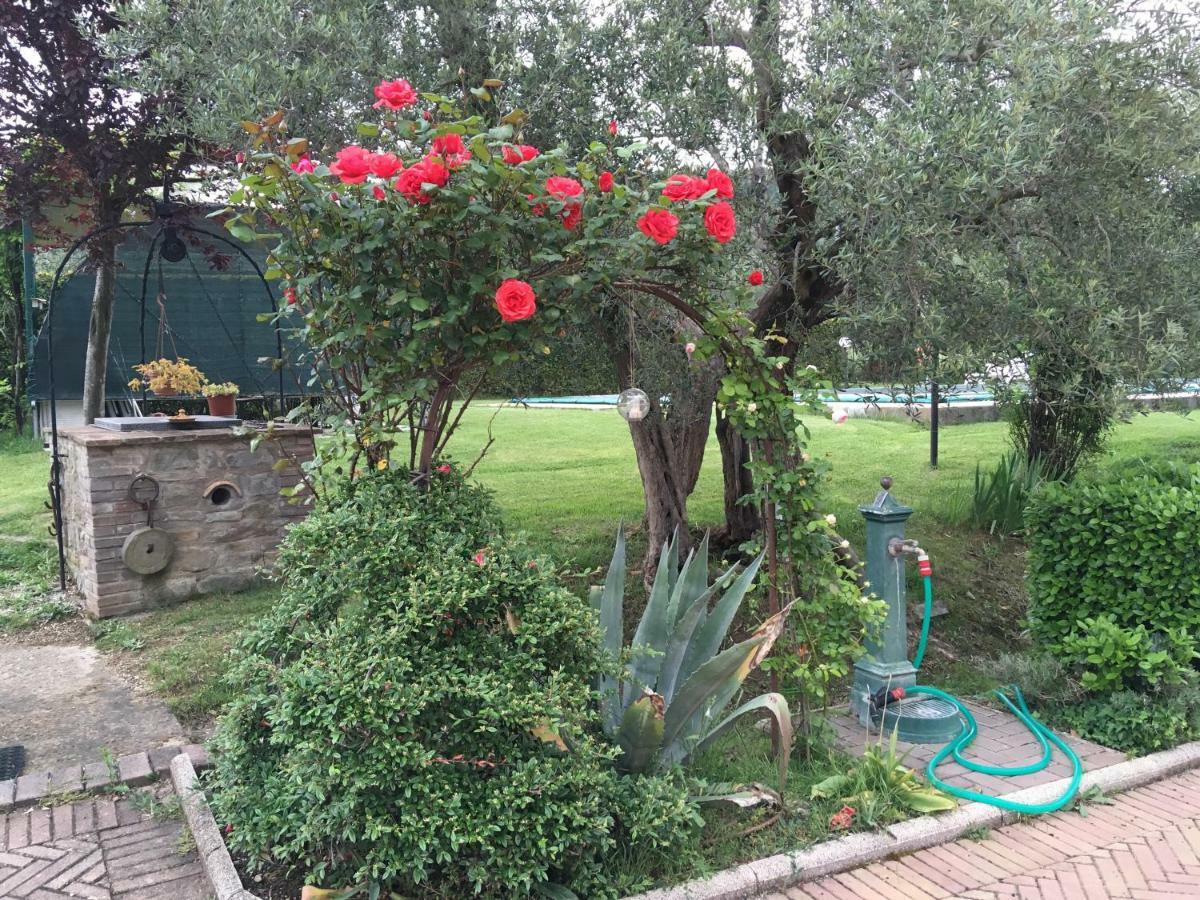 Le Coccole Del Trasimeno Guest House Туоро сул Тразимено Екстериор снимка