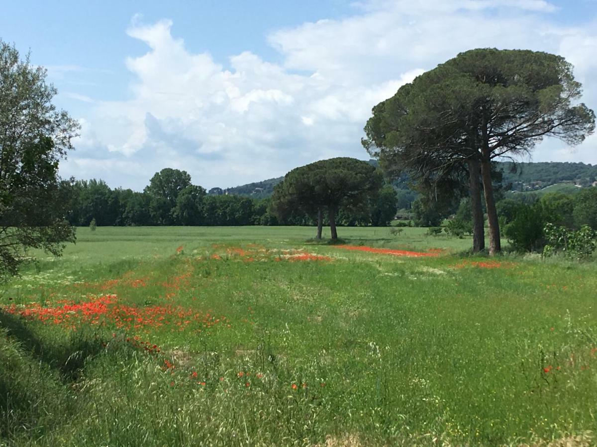 Le Coccole Del Trasimeno Guest House Туоро сул Тразимено Екстериор снимка