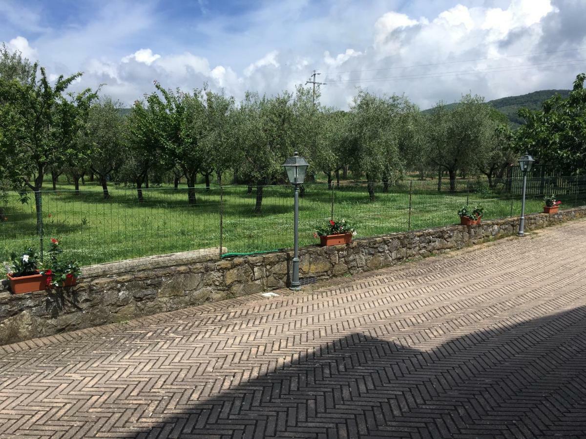 Le Coccole Del Trasimeno Guest House Туоро сул Тразимено Екстериор снимка