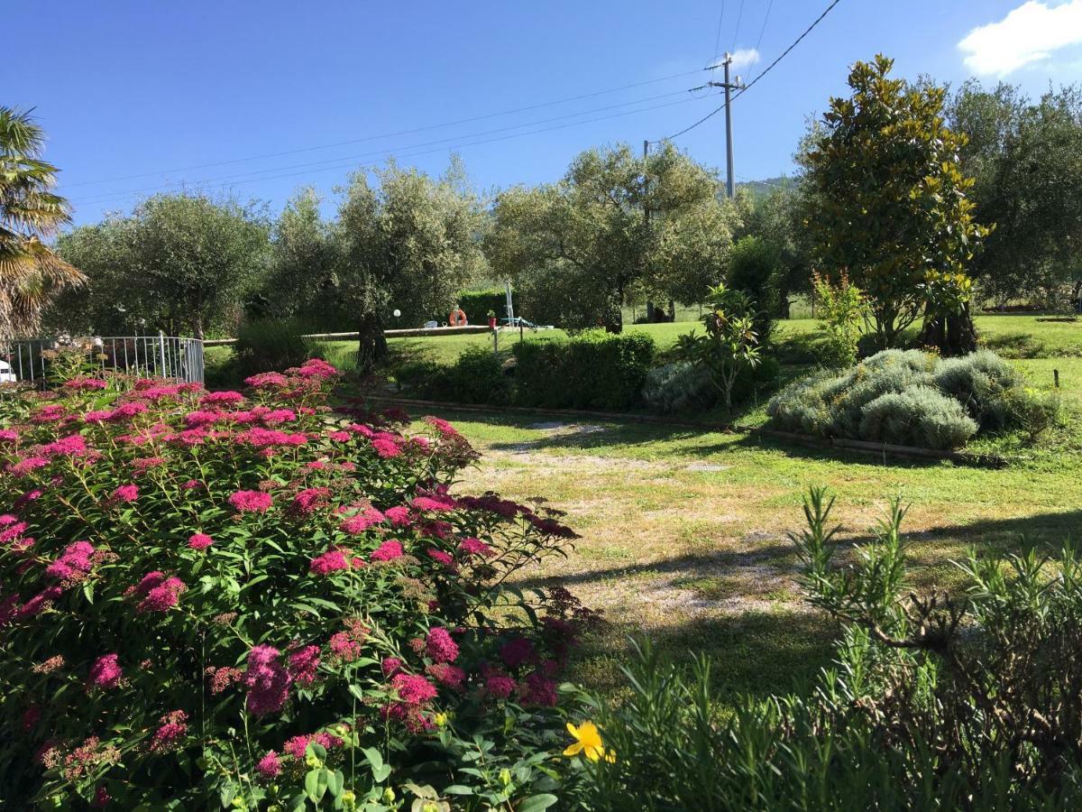 Le Coccole Del Trasimeno Guest House Туоро сул Тразимено Екстериор снимка